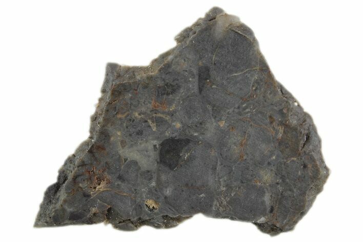 Lunar Meteorite Slice ( g) - NWA #360357